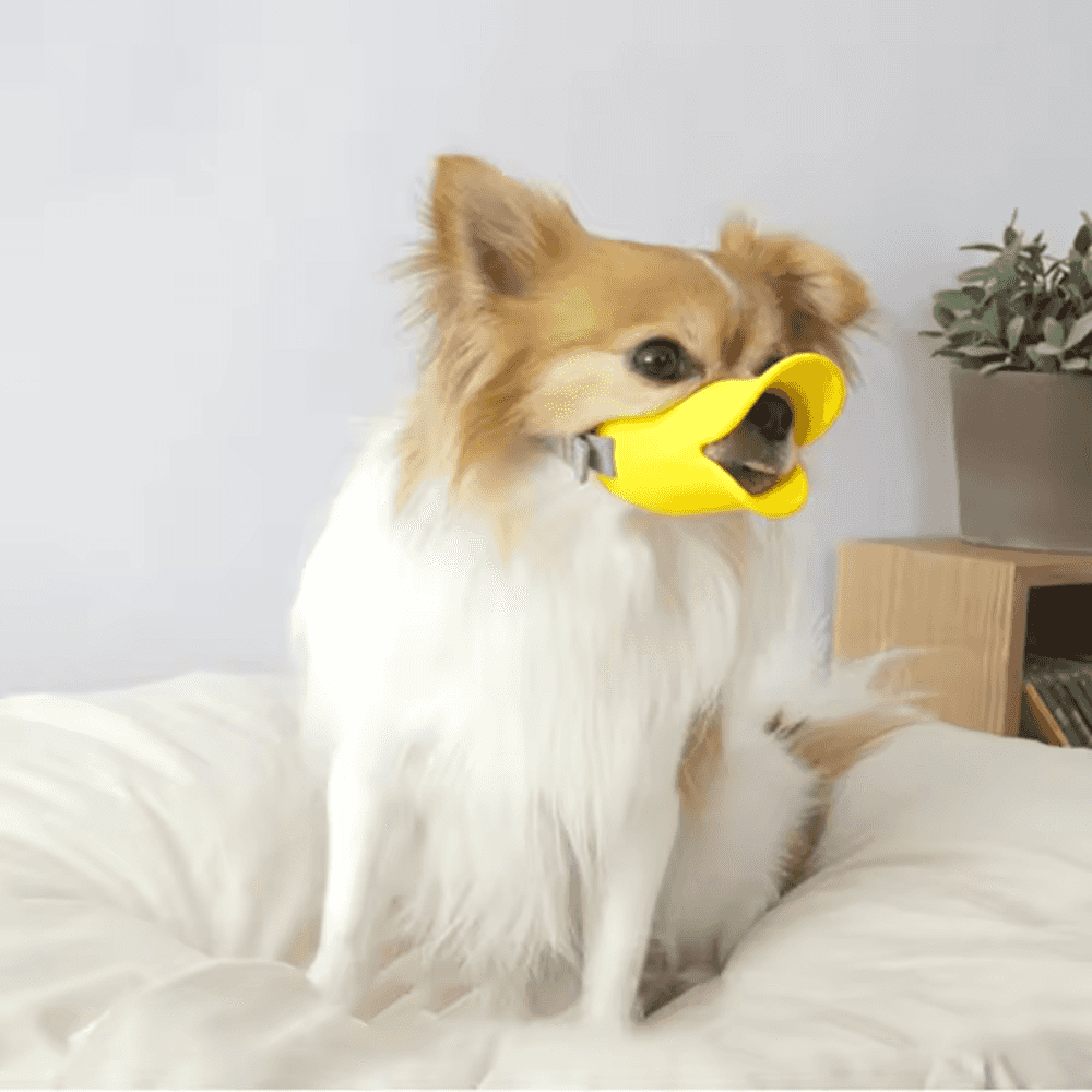 Dogs Anti Bite Stop yellow duck-bill muzzle on a fluffy dog indoors. Comfortable and secure fit for small to medium-sized pets.