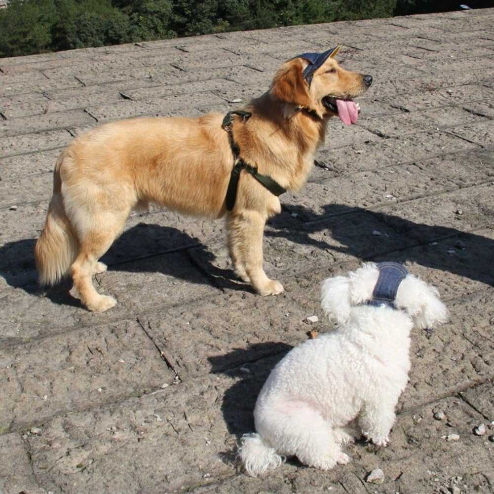 Two dogs outdoors wearing the Denim Dog Cap - Durable Dog Hat for All Seasons, highlighting its use during sunny adventures.