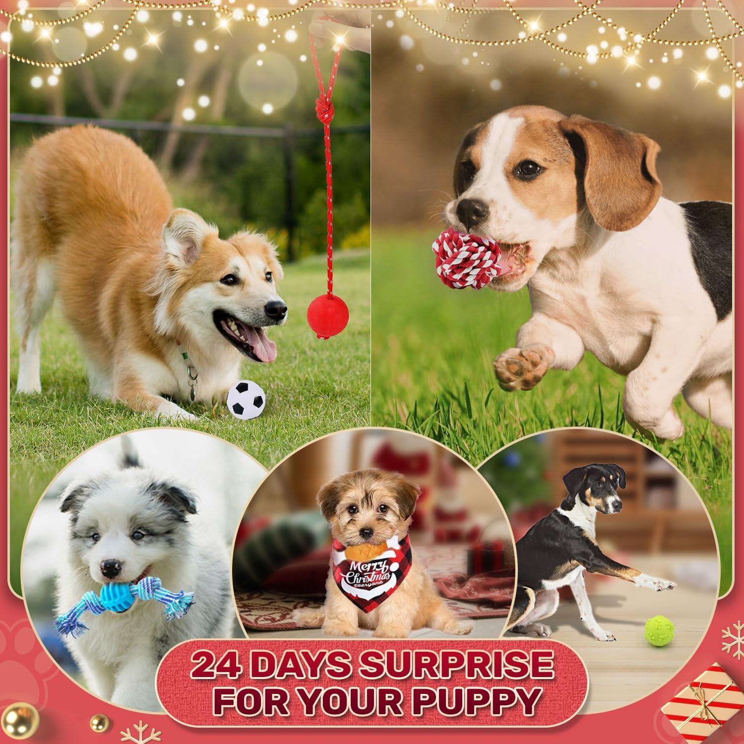 Dog Advent Calendar 2025, Christmas Dog Toys Chew Ropes Squeaky Balls Teething Toys Bow Tie Collars Bandana, 24 Set Christmas Countdown Calendar Gift for Dog Puppy