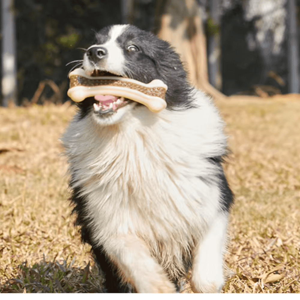 Juguete masticable para perros con forma de anillo de piel de vaca