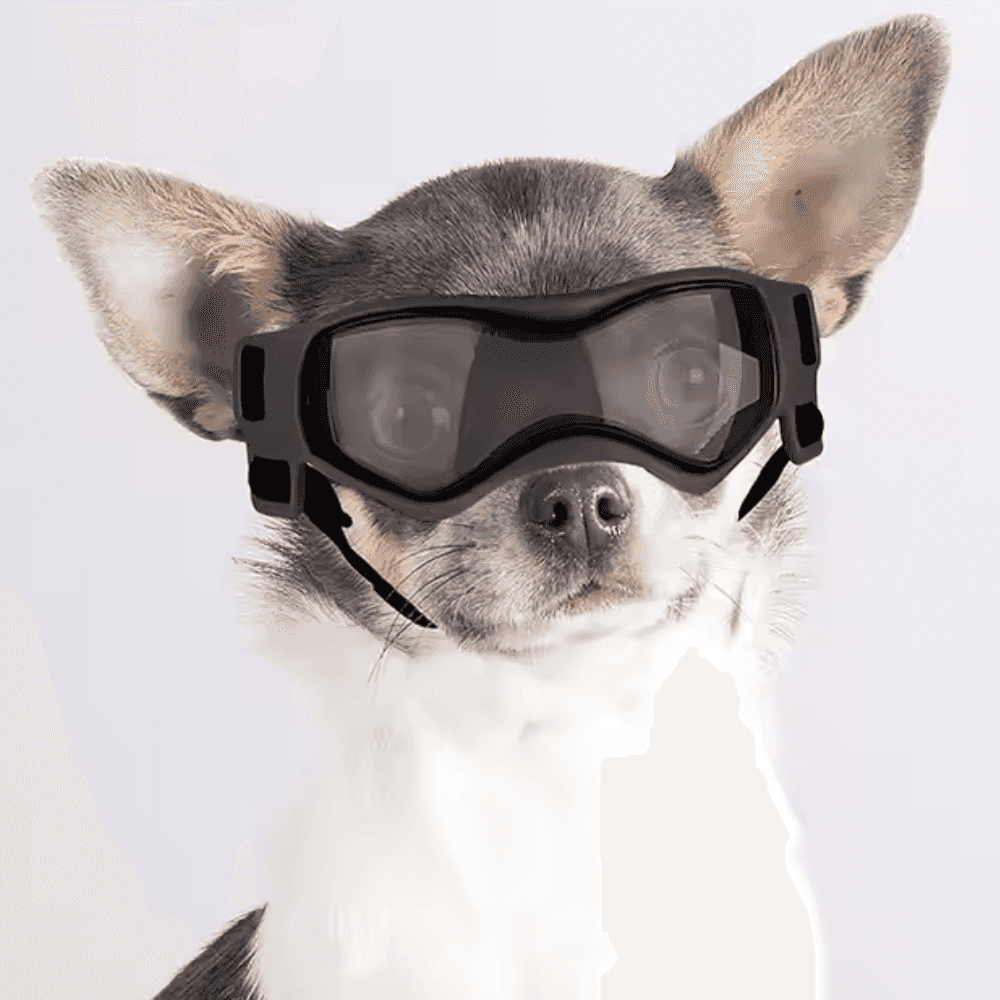 UV-Schutzbrille für Haustiere