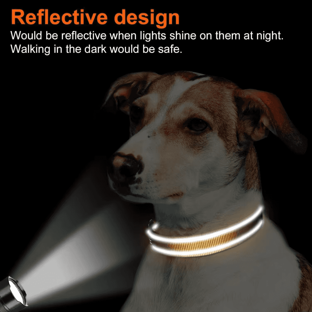Reflektierendes gepolstertes Hundehalsband