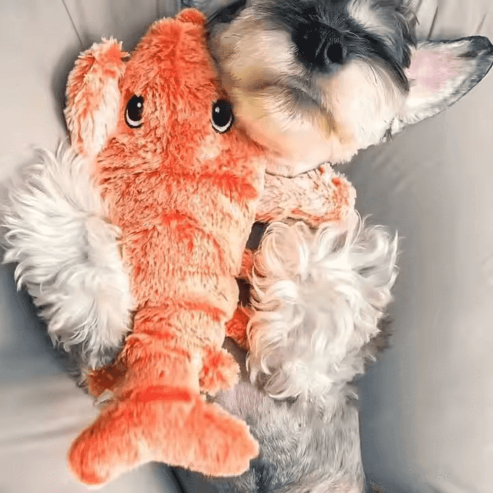 Wiggly Lobster Interactive Pet Toy