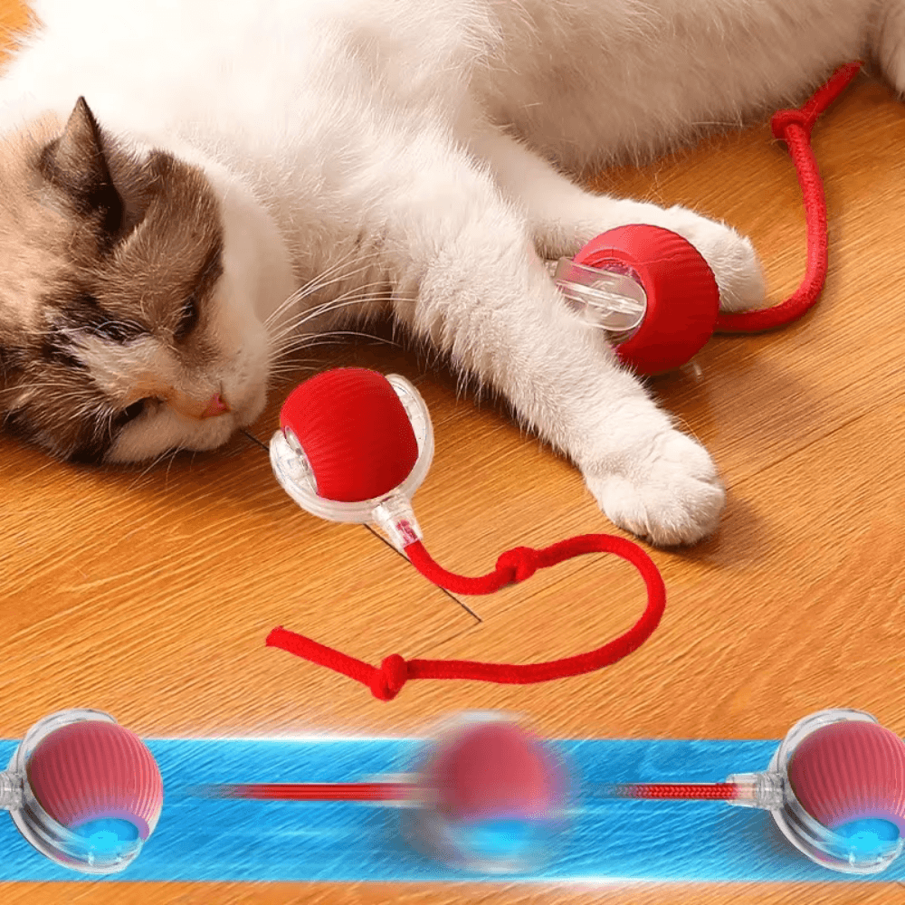 Pelota rodante inteligente para gatos