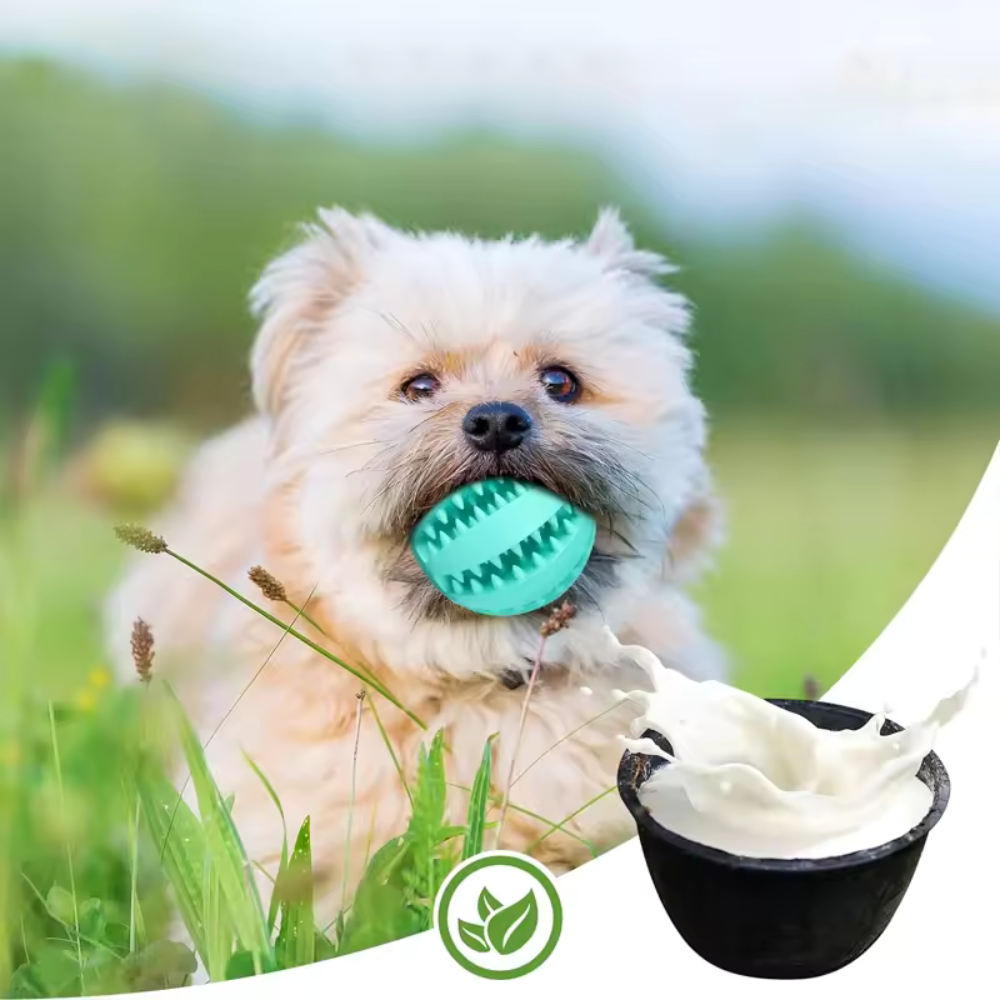 Rubber Dog Chew Ball
