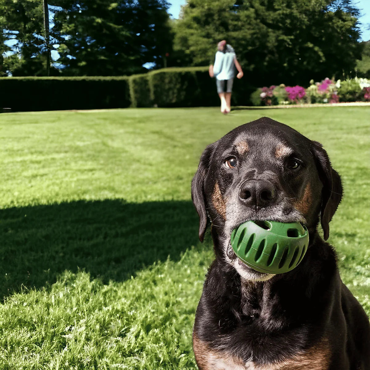 Tough Chew Treat Ball for Dogs