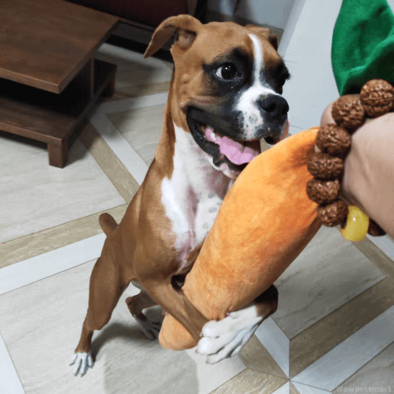 Durable Plush Carrot Dog Toy – Crinkle & Multi-Squeaks Calming Toy for All Breed Sizes