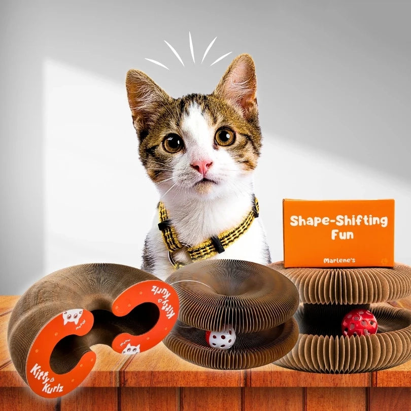 Magic Organ Cat Scratching Board, Cat Accordion Toy with Ball, Foldable Accordion Cats Toy, Interactive Scratch Pad Cats Toy with Toy Bell