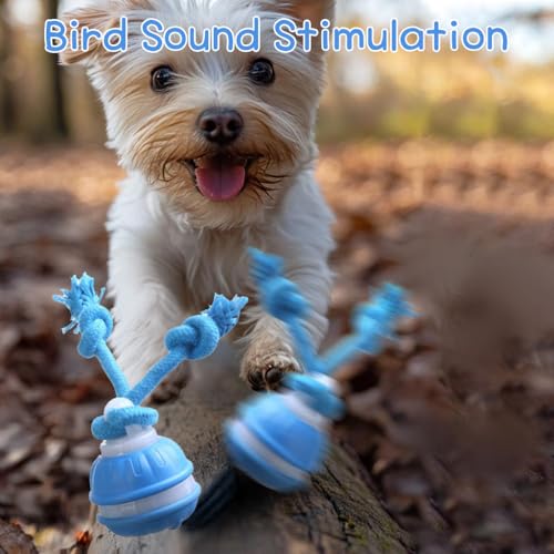 2pcs Paws Design Rechargeable Squeaky Rope Runner Dog Toy – Interactive Ball & Rope for Small Dogs
