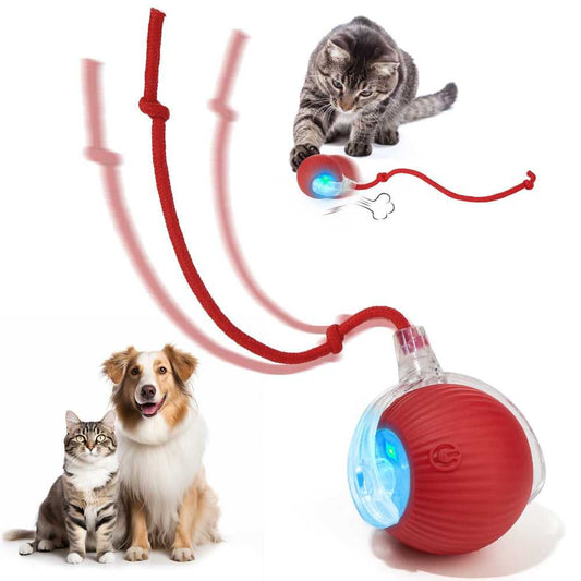 2 Packs Self-Moving Cat Toy Ball – 360° Auto-Rolling, Smart Interactive Pet Ball for Indoor Cats & Small Dogs – Fast & Engaging Play