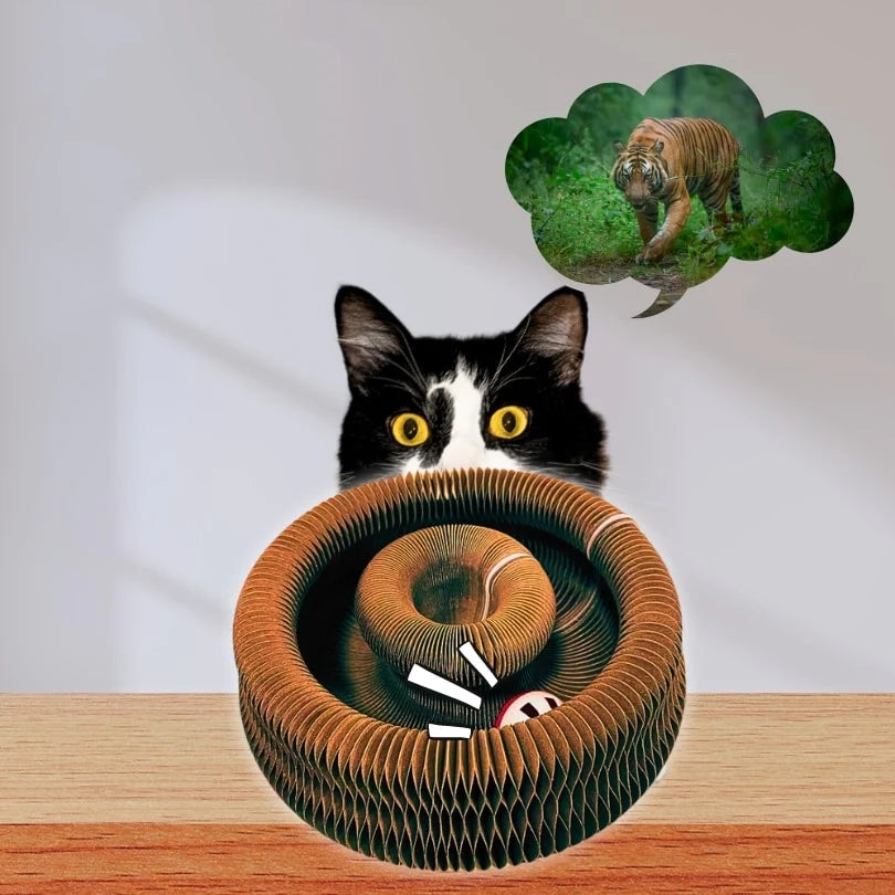Magic Organ Cat Scratching Board, Cat Accordion Toy with Ball, Foldable Accordion Cats Toy, Interactive Scratch Pad Cats Toy with Toy Bell