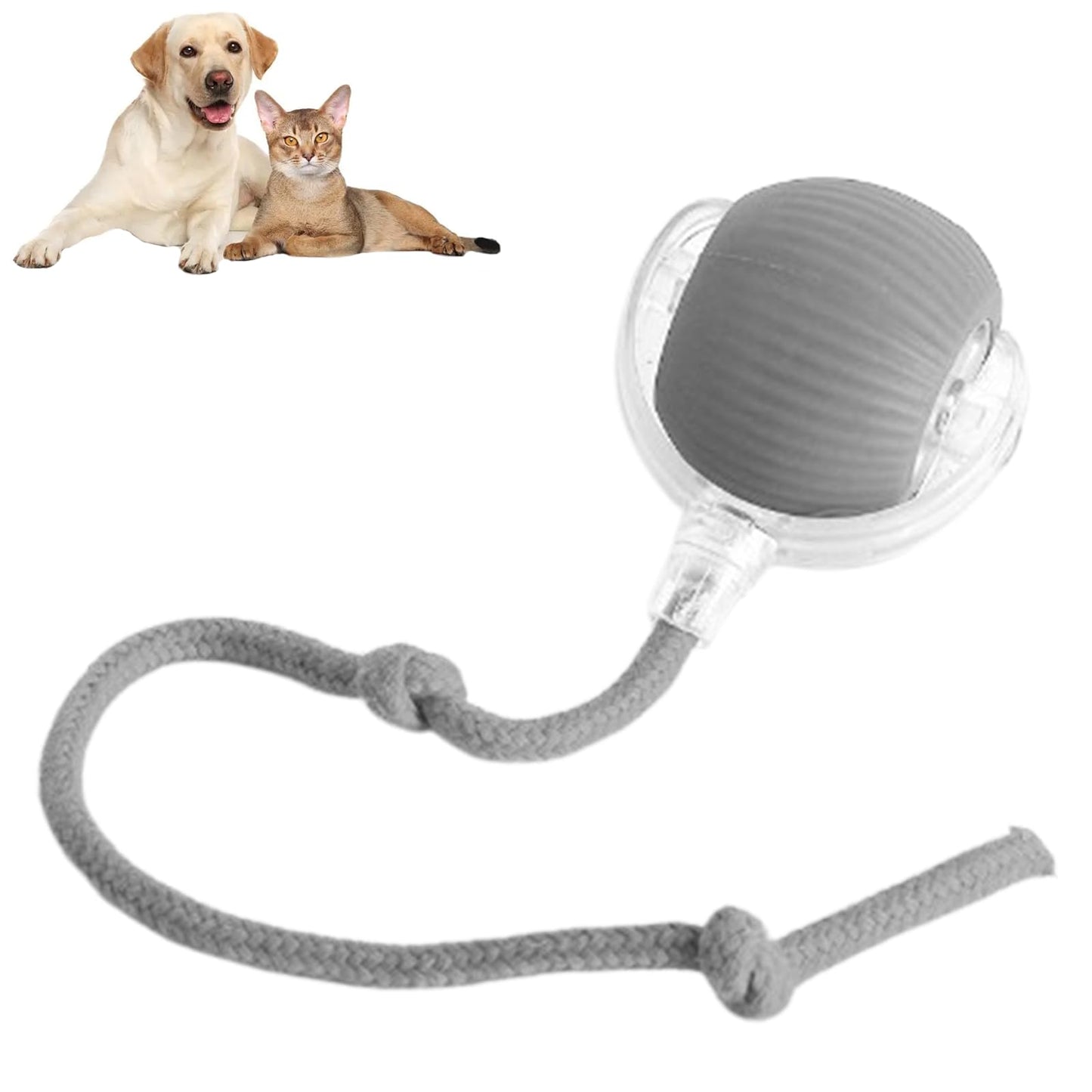 2025 New Interactive Dog Cat Toys Balls 2.0