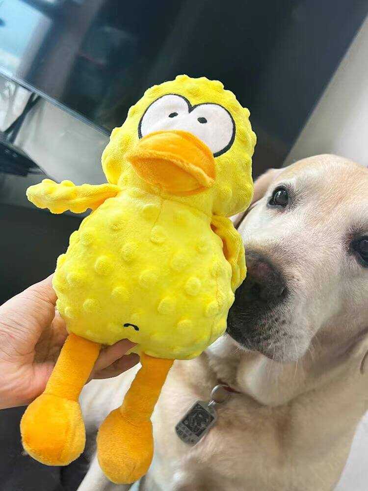 Snuggle Bear Dog Toy – Soft Squeaky Plush with Chew Guard Technology for Tough Chewers & Playtime Fun