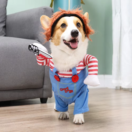 How to Reduce Anxiety and Encourage Playtime for Your Dog
