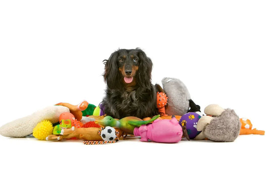 Enhance Interaction and Entertainment for Your Dog with Smart Toys