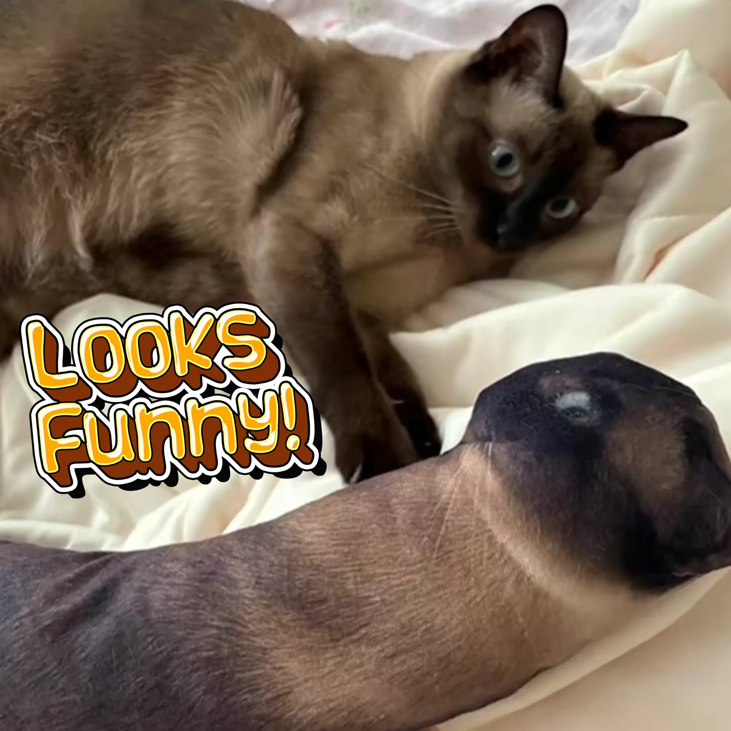 Custom Ugly Pet Pillow from Photo - Funny Dog Pillow Cat Pillow with Picture