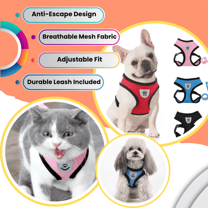 Fluchtsicheres Hunde- und Katzengeschirr