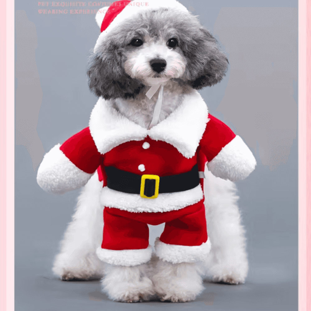 Disfraz festivo de Papá Noel para perro