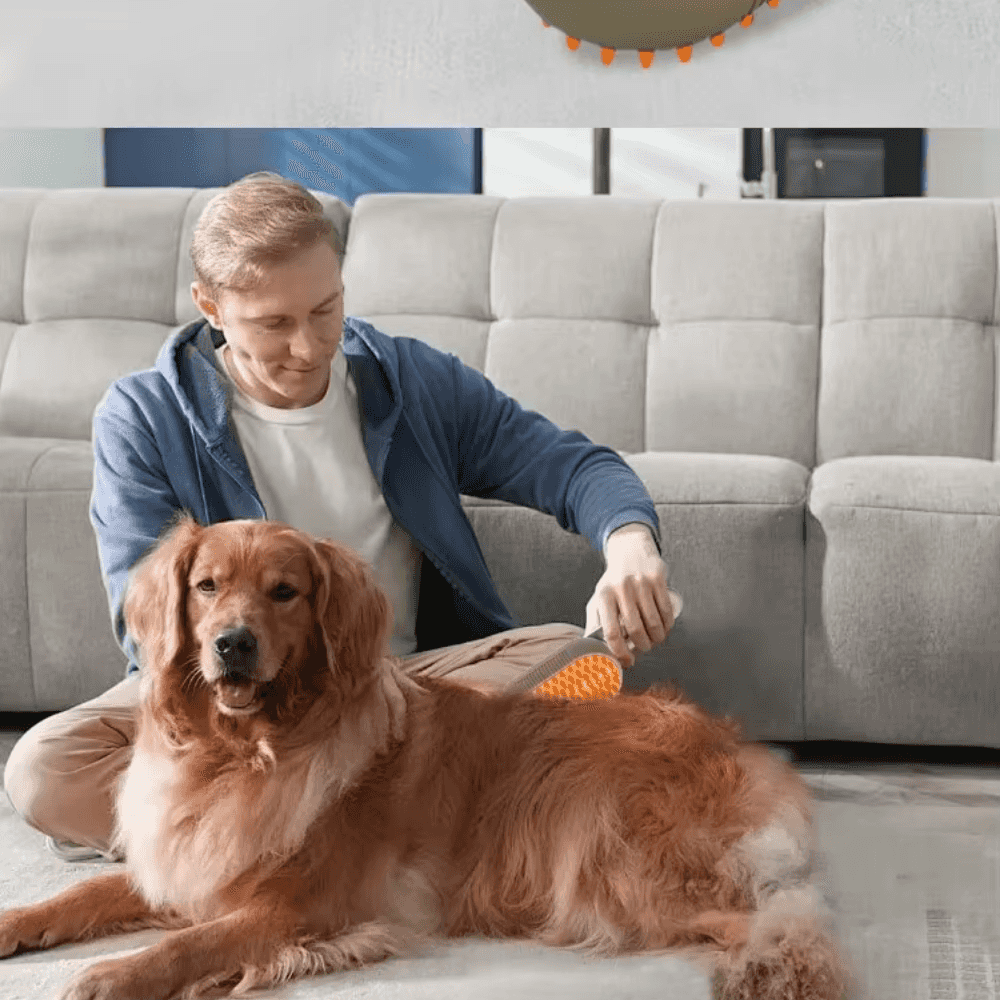 Cepillo de vapor 3 en 1 para mascotas