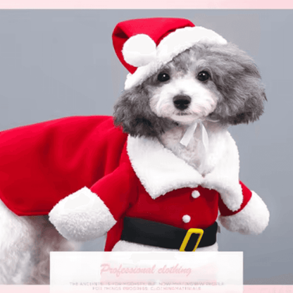 Disfraz festivo de Papá Noel para perro
