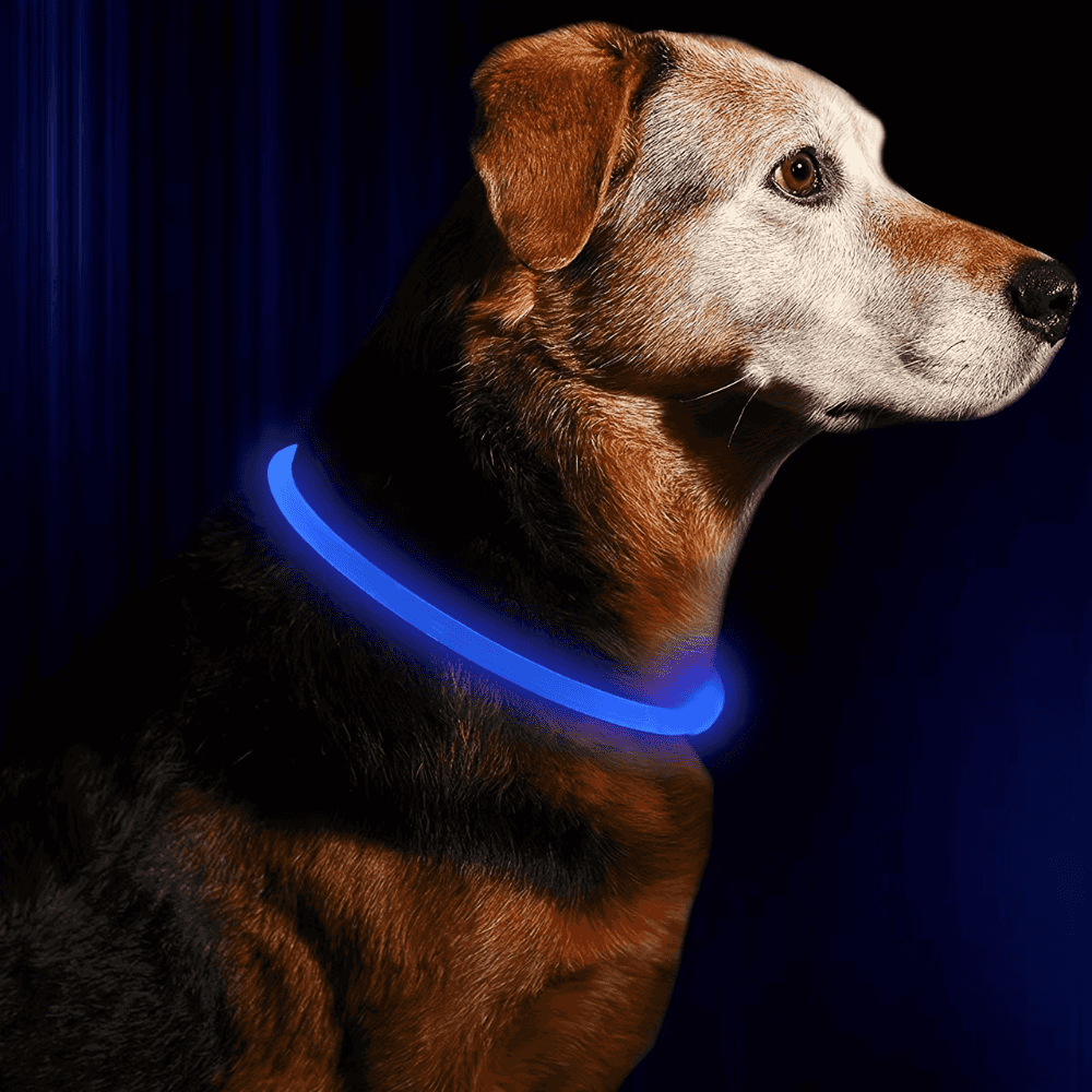 LED Light-Up Dog Collar