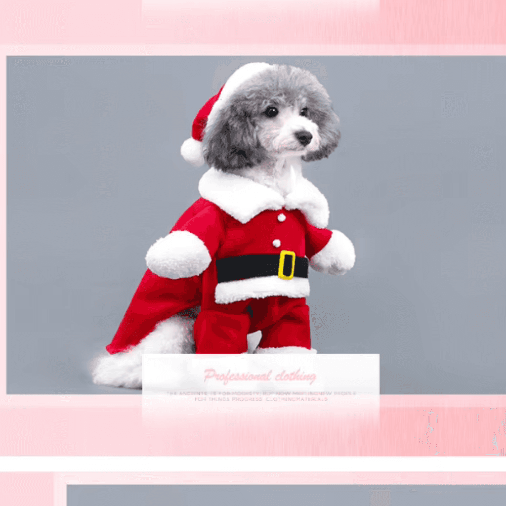 Disfraz festivo de Papá Noel para perro