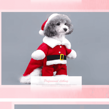 Disfraz festivo de Papá Noel para perro