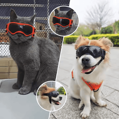 Gafas UV para mascotas