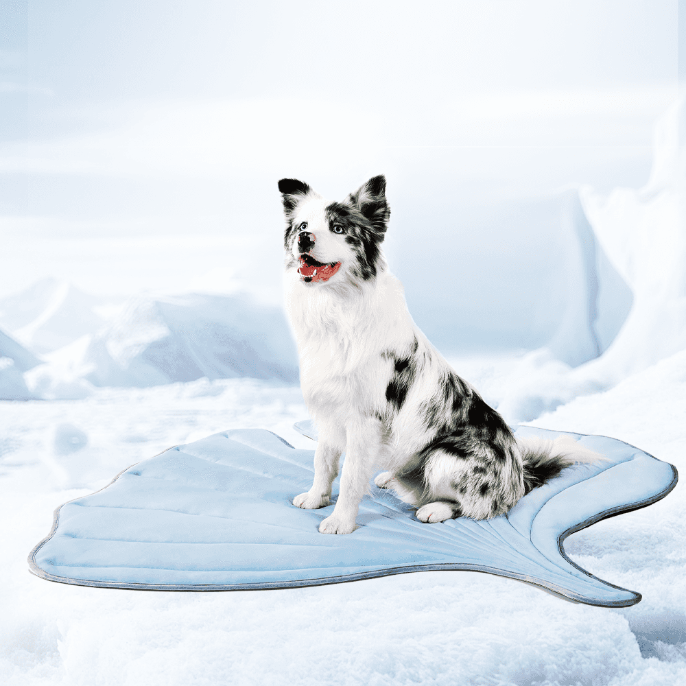 Leaf-Shaped Cooling Pet Mat in blue with dog sitting on icy background. Ideal for heat stress relief and temperature regulation.