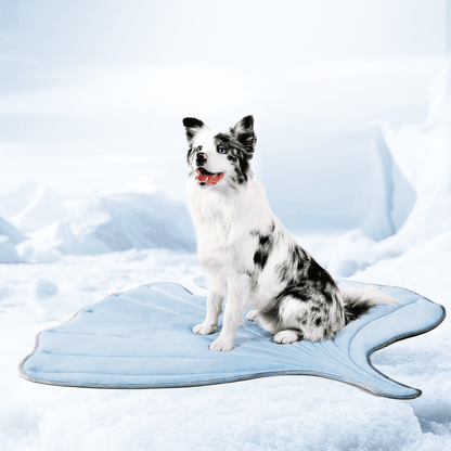 Leaf-Shaped Cooling Pet Mat in blue with dog sitting on icy background. Ideal for heat stress relief and temperature regulation.
