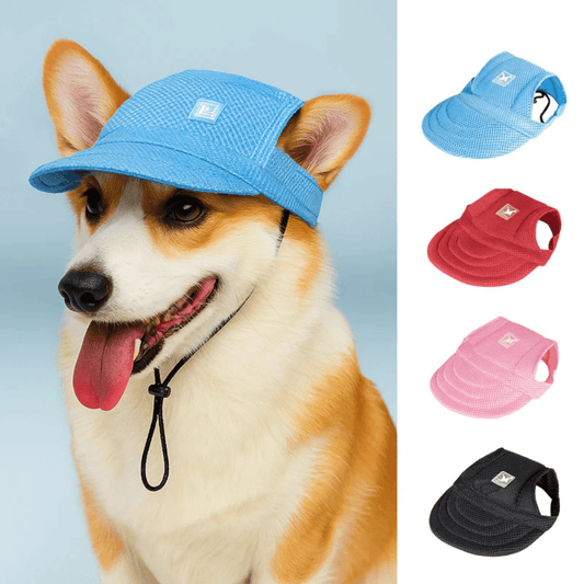 Mesh Pet Sun Hat in blue worn by a dog, available in red, pink, and black. Breathable pet cap ideal for sun protection and outdoor use.