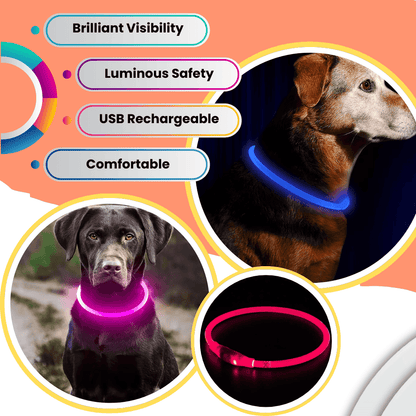 LED Light-Up Dog Collar