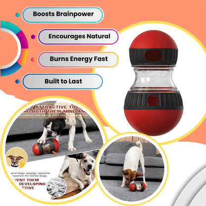 Pelota de golosinas Smart Dog Tumbler