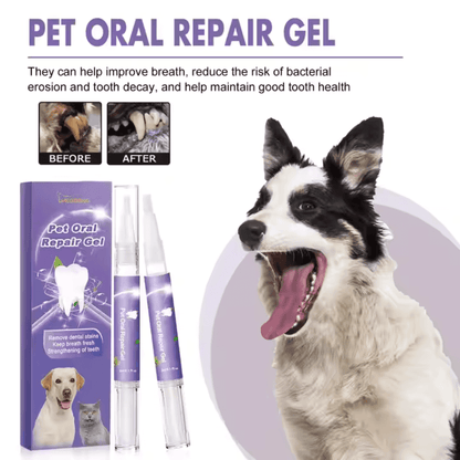 Dog Teeth Whitening Gel shown with before and after results on dog teeth, promoting cleaner breath and dental health.