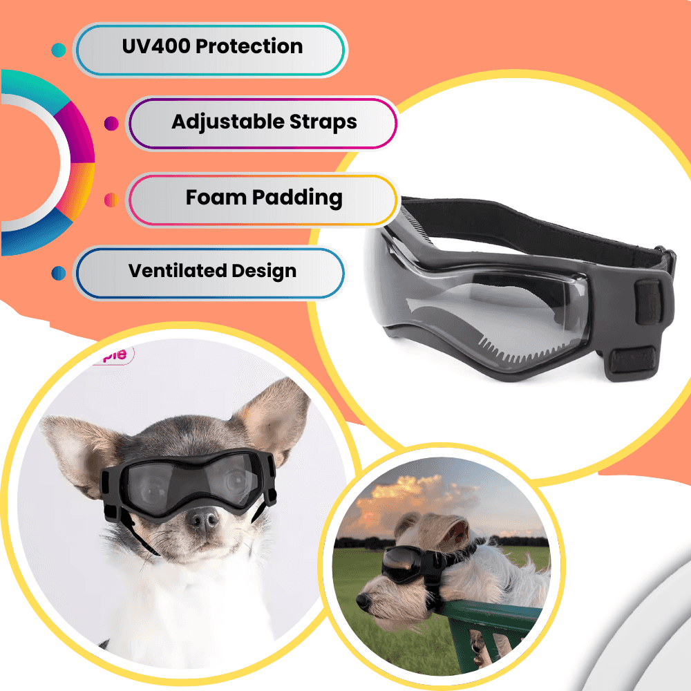Gafas UV para mascotas