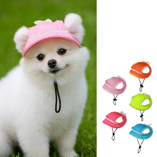 Sun Hat for dog