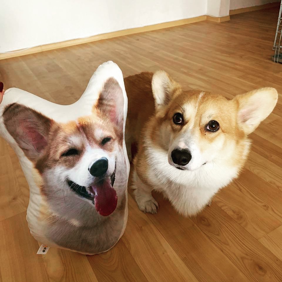 Custom Ugly Pet Pillow from Photo - Funny Dog Pillow Cat Pillow with Picture