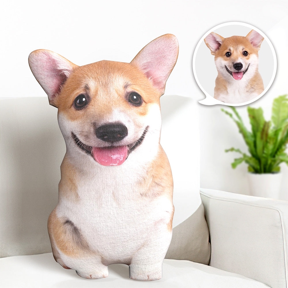 Custom Ugly Pet Pillow from Photo - Funny Dog Pillow Cat Pillow with Picture