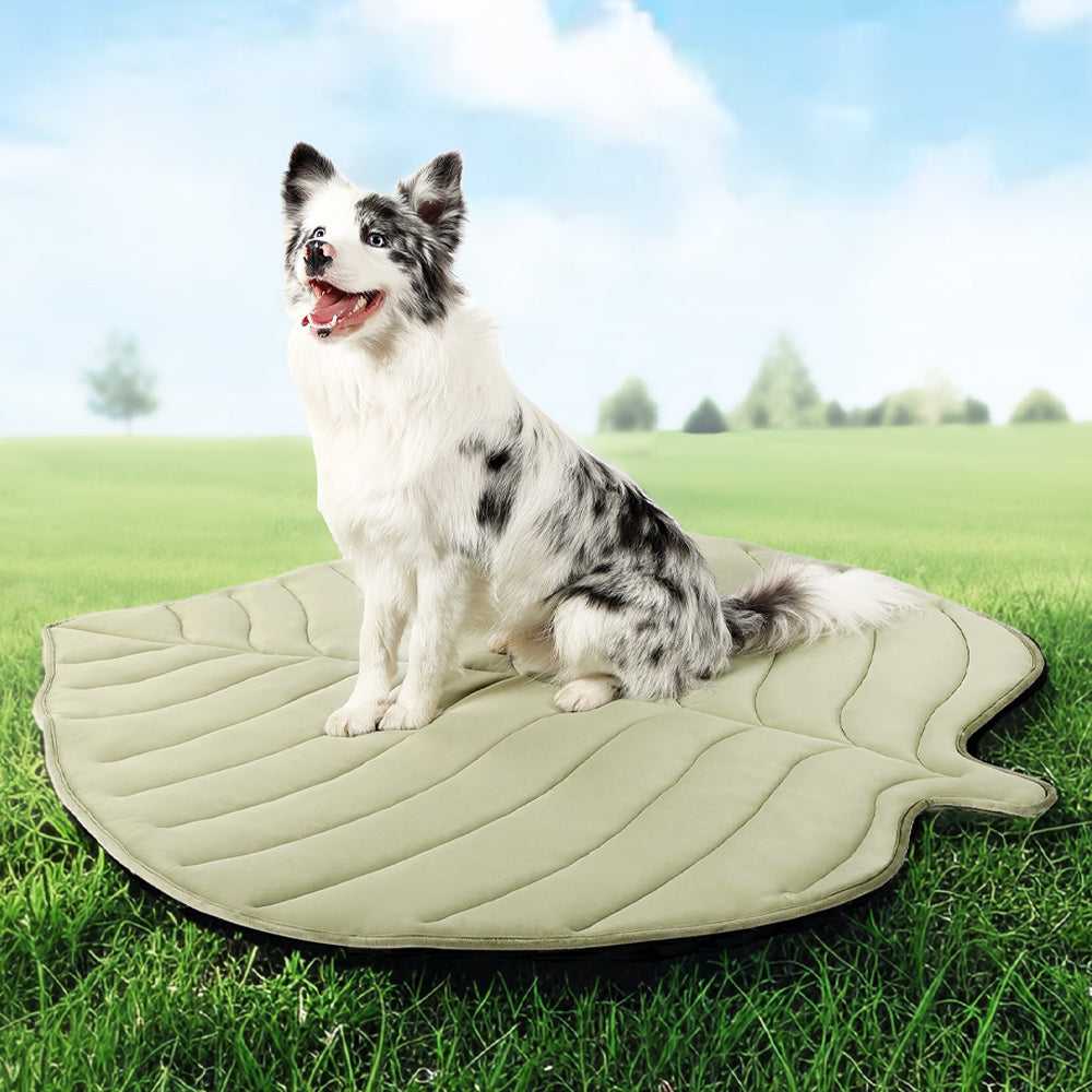 Dog sitting on green Leaf-Shaped Cooling Pet Mat outdoors. Perfect for regulating pet temperature in summer.