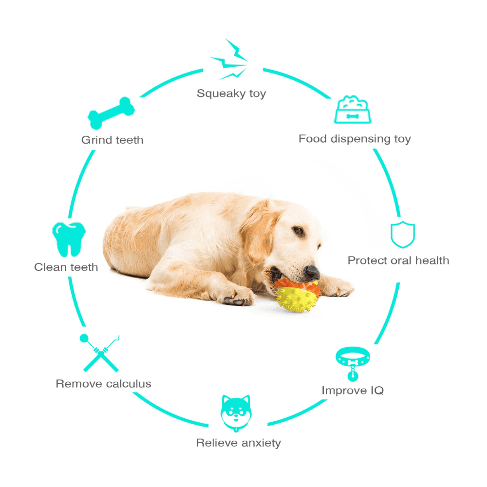 Rolling Treat Dispenser Dog Toy