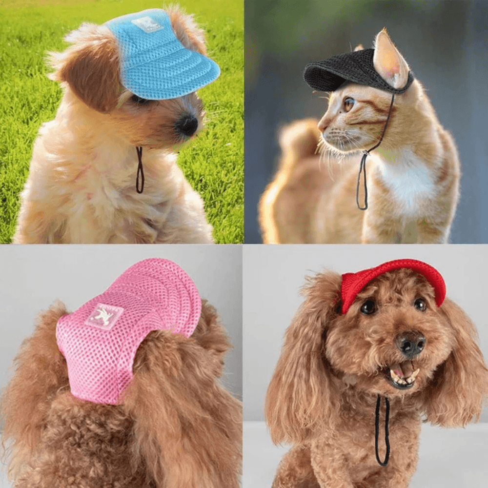 Mesh Pet Sun Hat shown on dogs and a cat in various colors. Stylish and adjustable pet apparel for sun protection during outdoor activities.