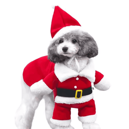 Disfraz festivo de Papá Noel para perro