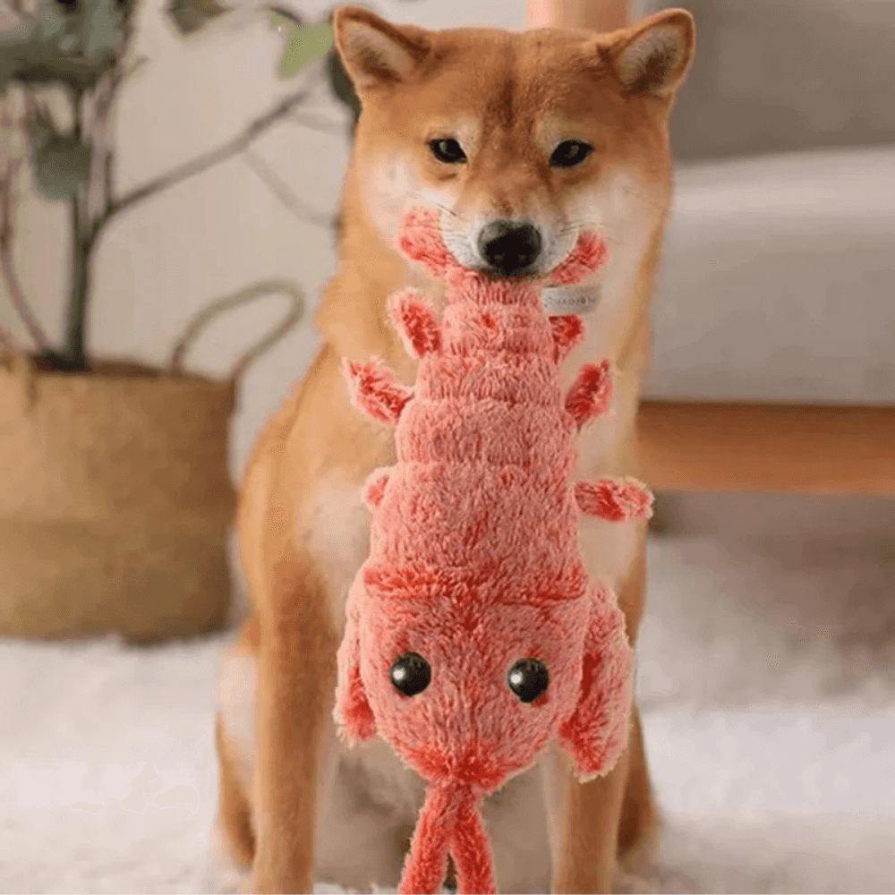 Wiggly Lobster Interactive Pet Toy