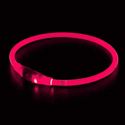 LED Light-Up Dog Collar