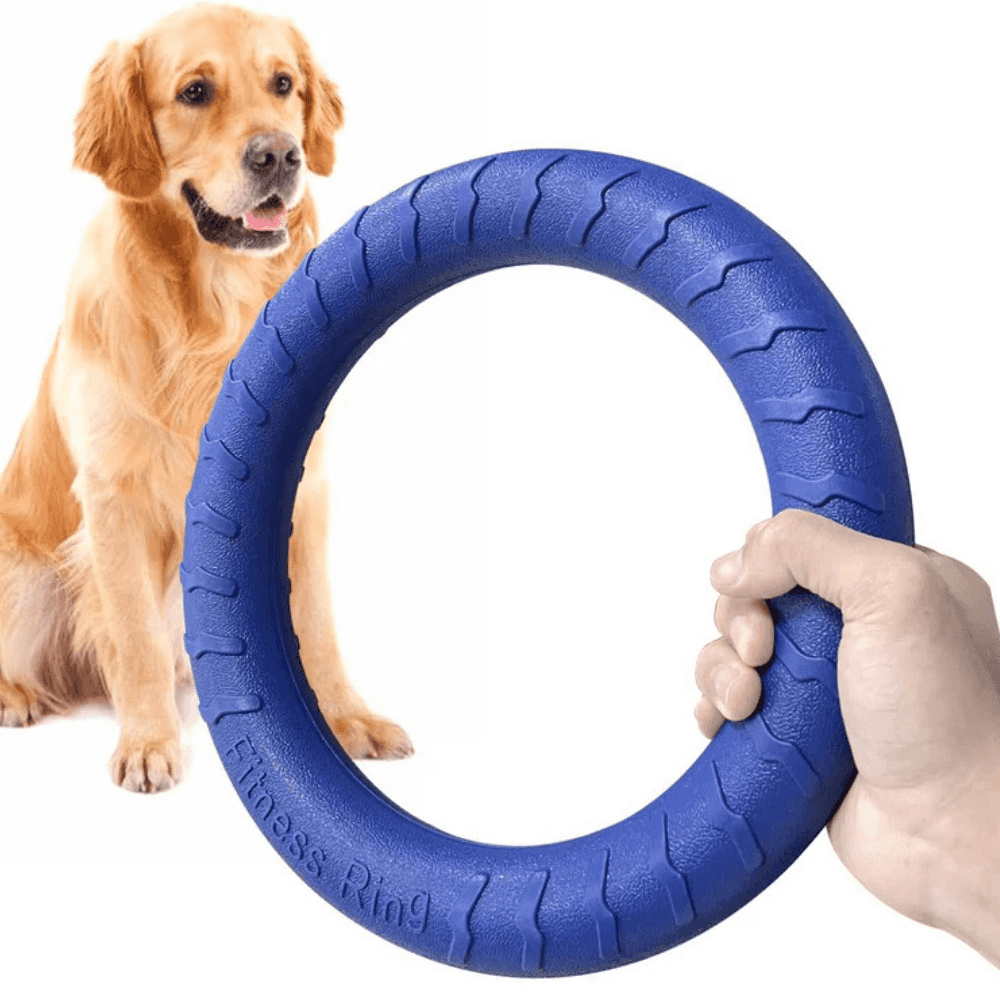 Langlebige schwimmende Hunde-Frisbee