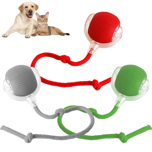 2025 New Interactive Dog Cat Toys Balls, 360° Smart Automatic Rolling Pet Ball, Electric Dog Balls Toy, Fast Moving