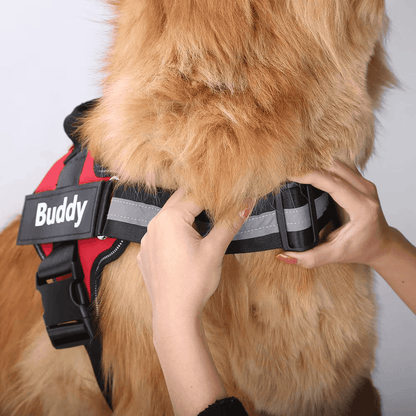 Reflektierendes Anti-Zug-Hundegeschirr mit individuellem ID-Patch