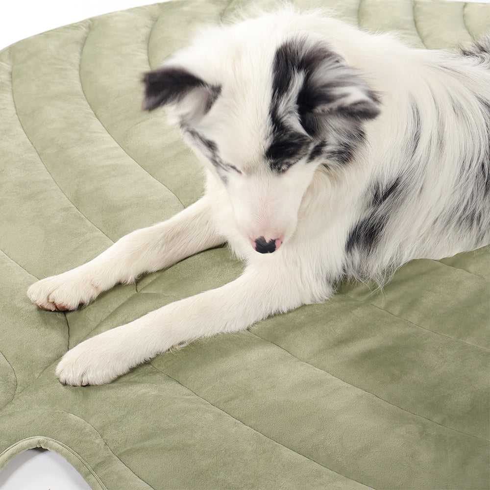 Close-up of dog on green Leaf-Shaped Cooling Pet Mat. Soft, breathable fabric ensures pet comfort and cooling.