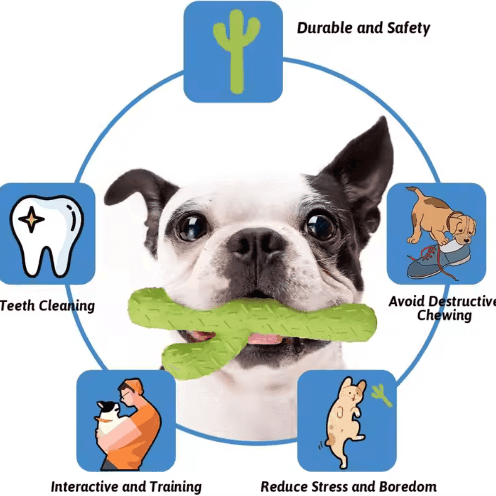 Cactus Dog Chew Toy benefits chart showing teeth cleaning, stress relief, and interactive training for dogs. Durable and safe design.