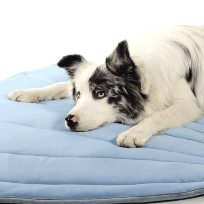 Dog laying on blue Leaf-Shaped Cooling Pet Mat. Provides a cool, relaxing surface for pets to beat the heat.